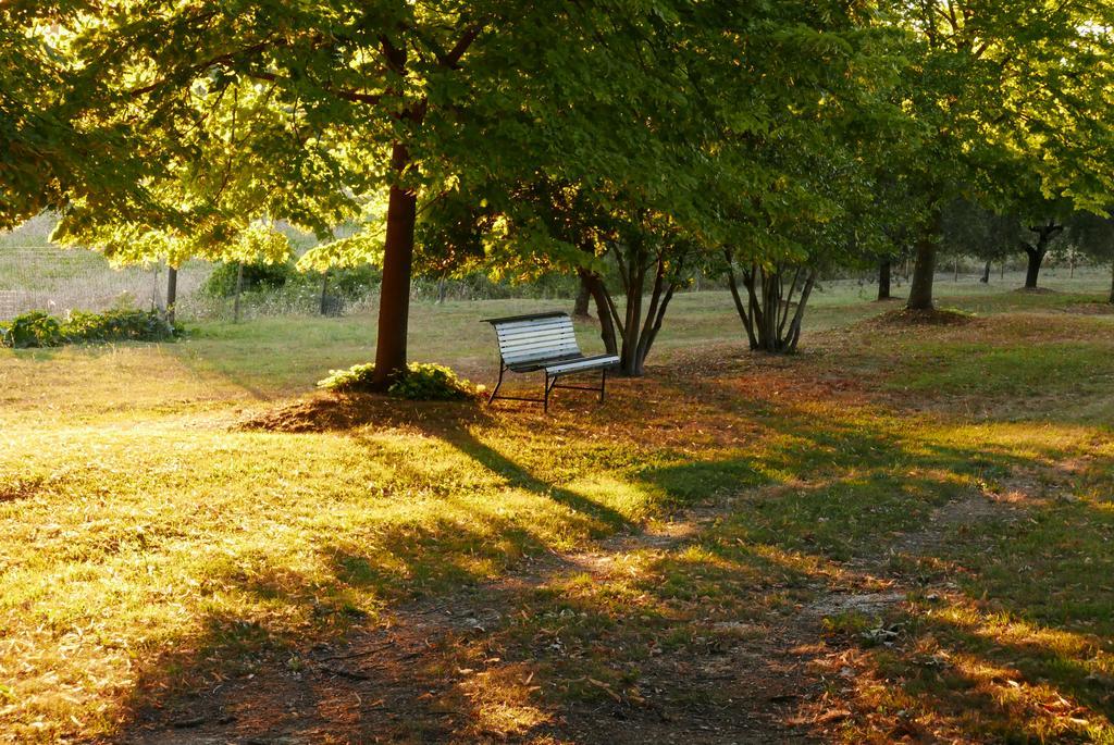 Agriturismo La Pieve Colle Val D'Elsa Exterior photo